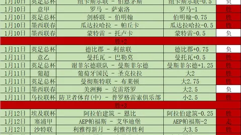 伊朗总统斥责美干扰地区稳定，伊朗意志坚定不屈